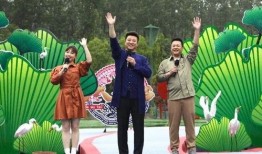 西藏近期爆料新闻报道视频,揭秘神秘事件背后的真相